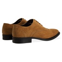 MENS PORTER TAN Suede OXFORD BROGUE SHOE